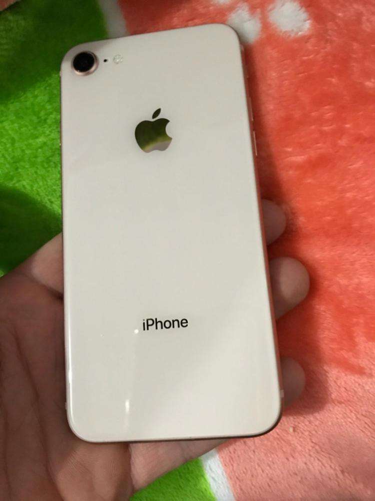 国行在保iphone864G